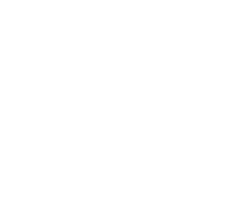 Img Vector1