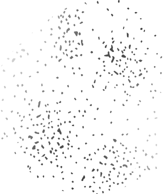Vt 3